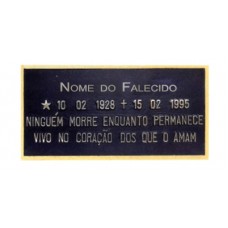 Placa sem Foto com Friso Reto